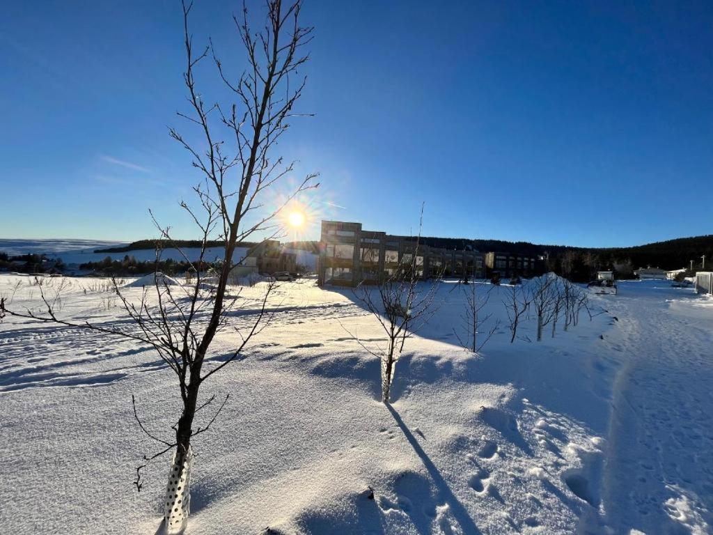 Meadows Apartments Klinovec Лоучна-под-Клиновцем Экстерьер фото