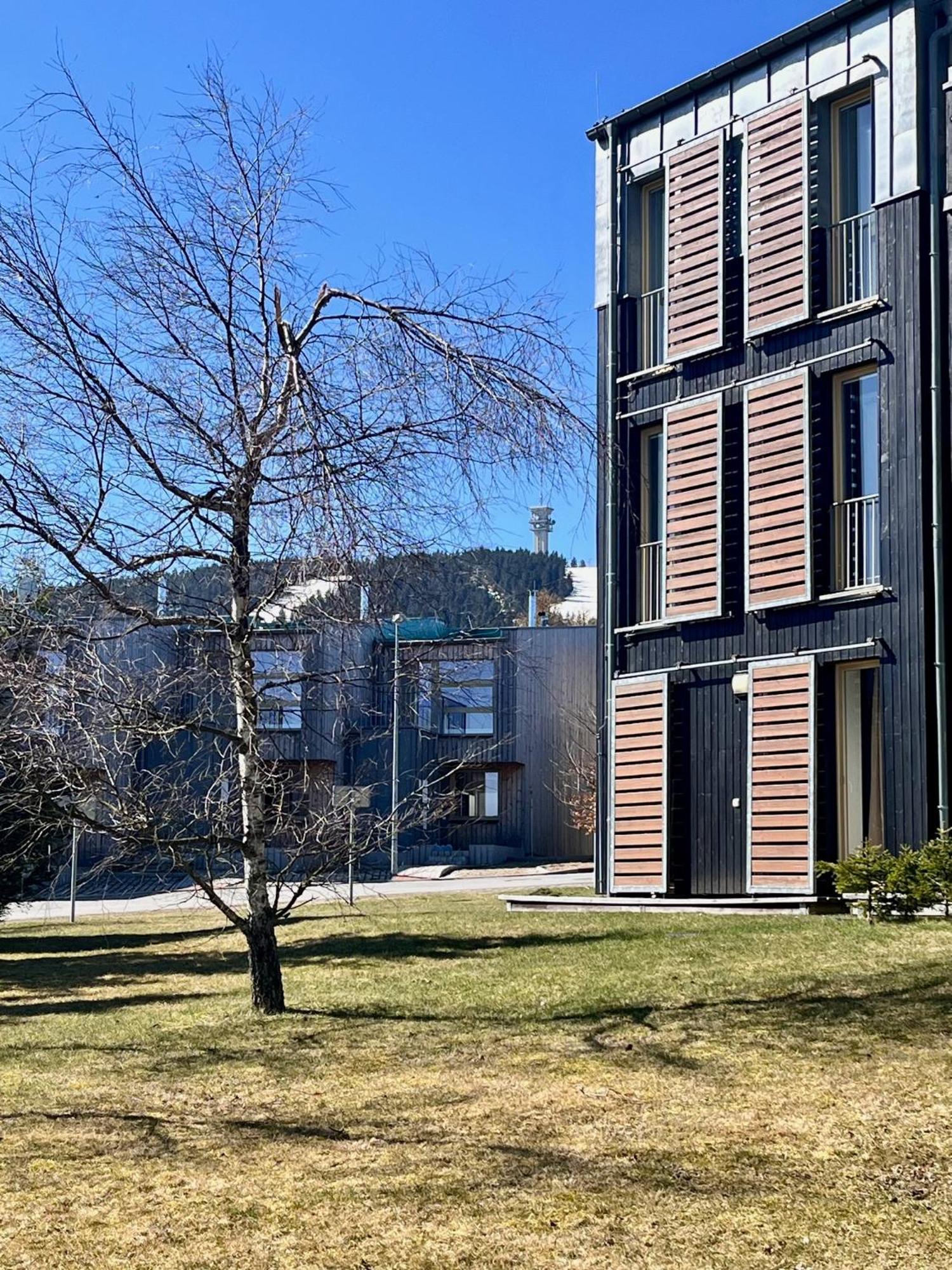 Meadows Apartments Klinovec Лоучна-под-Клиновцем Экстерьер фото